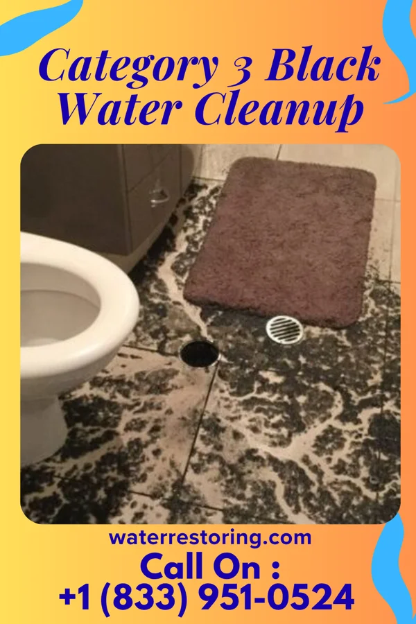 Category 3 Black Water Cleanup in Hide-A-Way Hills, OH